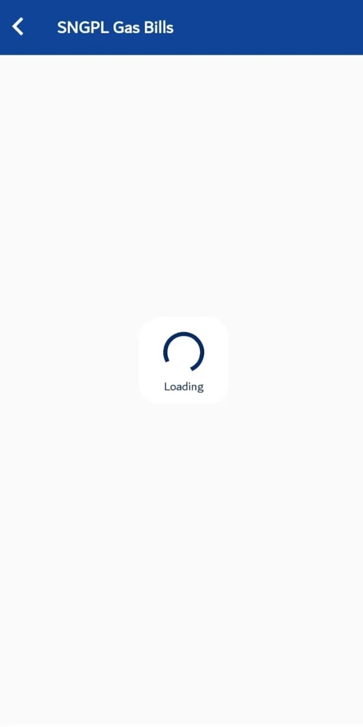 SNGPL Gas Bill Online checker